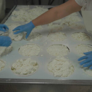 Visita Ganadería + Quesería + Taller de Queso + Cata